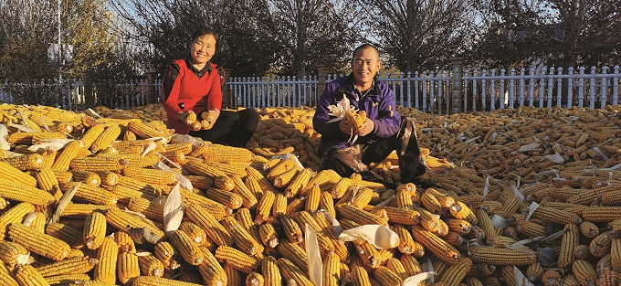 澳门管家婆三期必出一期